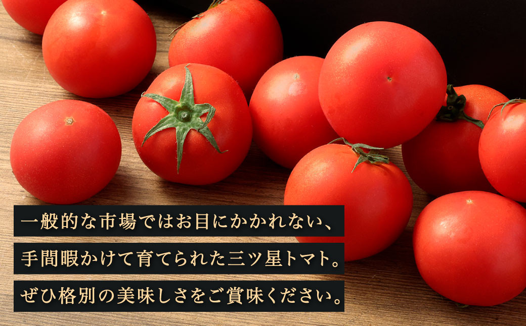 三ッ星トマト プレミアム 約1kg （10～20玉）