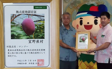 【2024年発送】マンゴーの拠点産地「宜野座村」の秀品アップルマンゴー(約2kg)