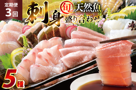 刺身 盛り合わせ 旬の天然魚の刺身盛り 5種 2～3人前 3回 定期便 総計6～9人前 セット 食べ比べ 詰め合わせ [囲炉裏料理エビス亭 長崎県 平戸市 hr42bgy390045]