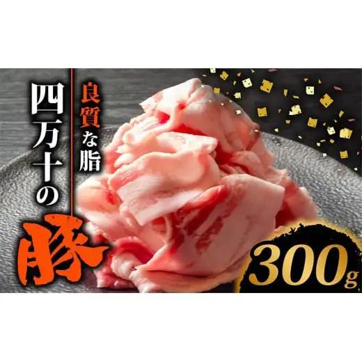【 四万十豚 】 四万十豚 切り落とし 300g