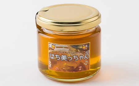 天然はちみつ「はち美っちゃん」　百花蜜　150g×9個【1590823】