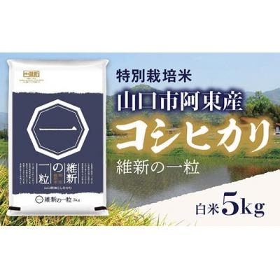 ふるさと納税 山口市 維新の一粒5kg(白米) D407