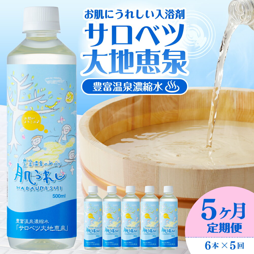 【ふるさと納税】【 5ヶ月定期便 】サロベツ大地恵泉 500ml × 6本 × 5ヶ月 / 豊富温泉 濃縮温泉水 濃縮 温泉水 化粧水 スキンケア 入浴剤 温泉成分 セット サロベツ とよとみ 常温 北海道 豊富町