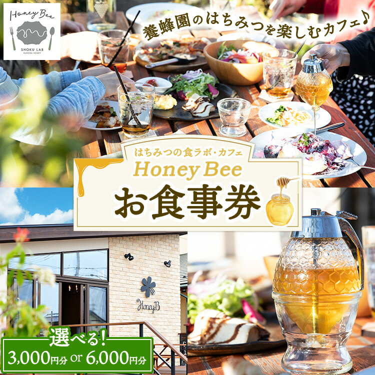 【ふるさと納税】【選べる金額】はちみつの食ラボ・カフェHoneyBee　お食事券 3,000円分・6,000円分 ｜ 食事券 チケット カフェ 蜂蜜 ハチミツ