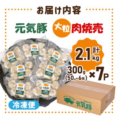ふるさと納税 多古町 【千葉県産三元豚】元気豚 大粒肉焼売(シューマイ)セット　2.1kg(50g×42個) |  | 03