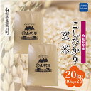 【ふるさと納税】 令和6年産 真室川町 コシヒカリ ＜玄米＞ 20kg（10kg×2袋）