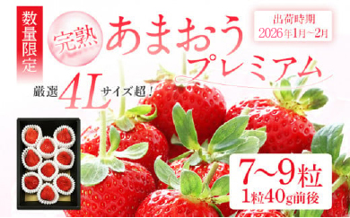 ＜2026年1月～2月頃発送予定＞あまおうプレミアム BD02