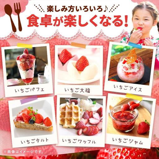 2027年 先行予約受付中！【定期便3回】最旬とちあいか 1kg以上 |  栃木県共通返礼品 いちご 人気 デザート 栃木県 矢板市