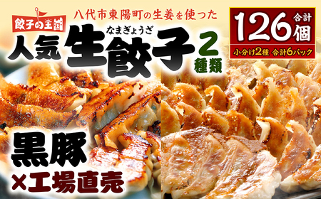 【順次発送】 八代市東陽町の生姜を使った 餃子の王国 人気生餃子126個 （餃子 ぎょうざ 人気の餃子 生餃子 生ぎょうざ 生姜 生姜を使用した餃子 ふるさと納税）