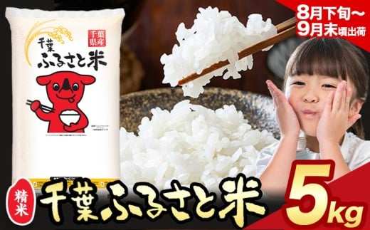 令和6年産 米 千葉 ふるさと米 5kg《8月下旬-9月末頃出荷》千葉県 勝浦市 米 白米 精米 国産 お米 おこめ お弁当 おにぎり こしひかり