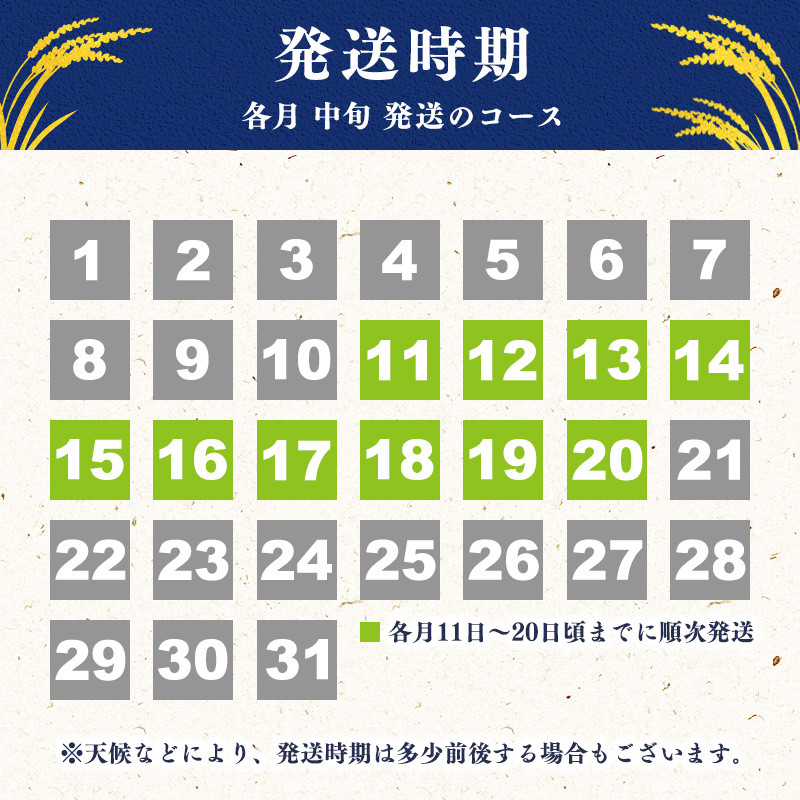 収穫してからすぐお届けする10月中旬から！便利で使い勝手が良い毎月10kg！