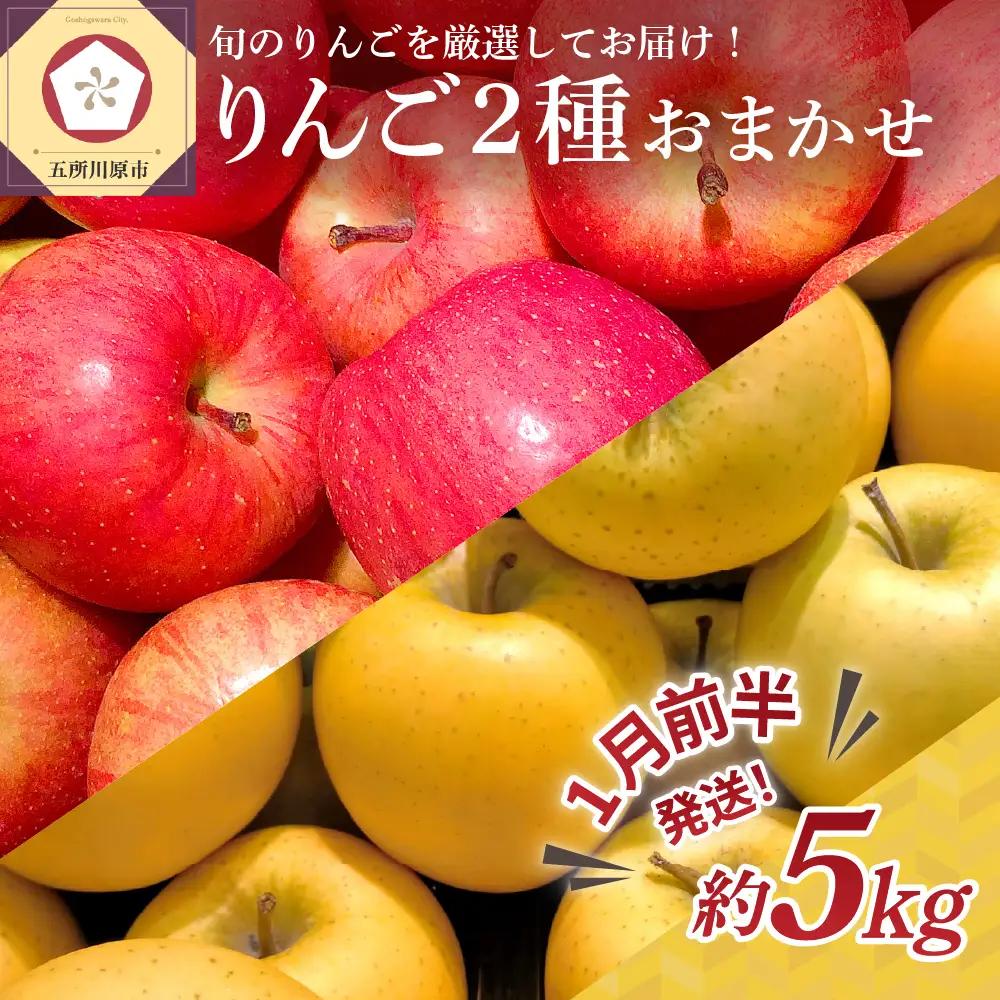 【2027年1月前半発送】りんご 約5kg 2品種おまかせ ≪特選～特秀≫ 青森県産 贈答用りんご