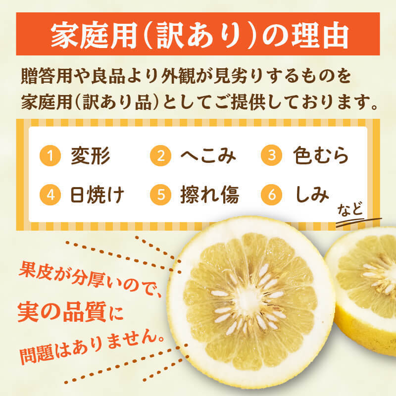 早期予約受付開始 あわ地区 文旦 訳あり 家庭用 10kg 2月中旬より順次発送