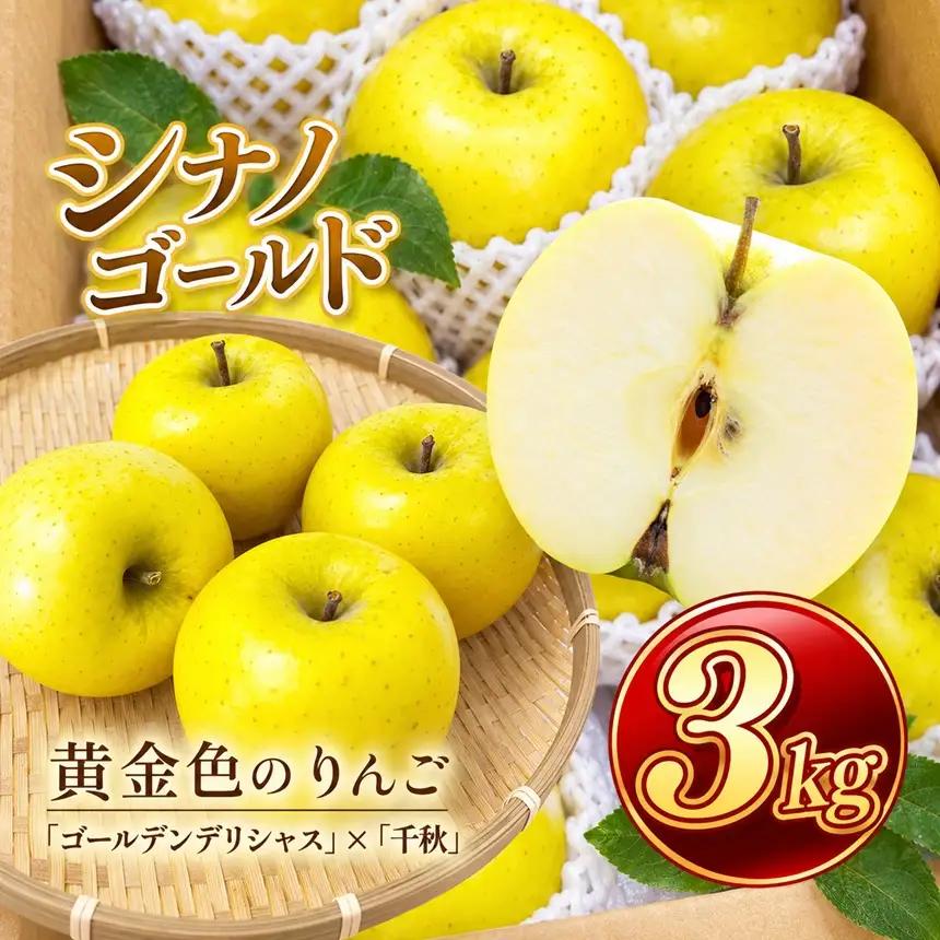 りんご シナノゴールド 信州のシナノゴールド 約3キロ！ 信濃三兄弟の一つ【012-94】