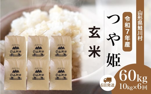 ＜令和7年産米＞ 特別栽培米 つや姫 【玄米】 60kg定期便 （10kg×6回発送）＜配送時期選べます＞　山形県鮭川村