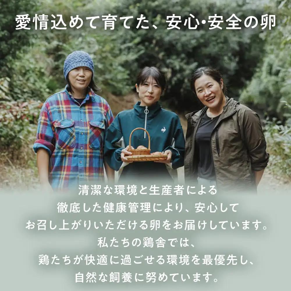 【定期便】３回定期 【天王原のたまご】 サクセス卵 50個入り