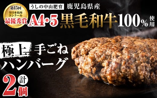 【志布志市制20周年記念】＜A4・A5等級＞鹿児島県産黒毛和牛100%使用 極上手ごねハンバーグ 計300g（150g×2個）p8-152