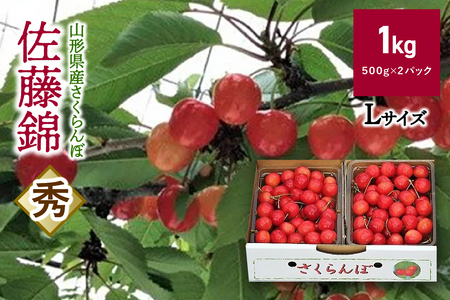 さくらんぼ（佐藤錦）１ｋｇ　0069-2502