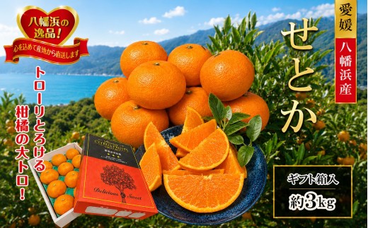 2027年2月～順次発送　柑橘の大トロ「せとか」約3kg  ＜D39-6＞_みかん ミカン 柑橘 せとか フルーツ くだもの 果物 ふるーつ 青果 果実 人気 甘い ジューシー 産直 産地直送 旬 柑橘類 人気 愛媛 果汁 八幡浜市【1262187】 YWTF001