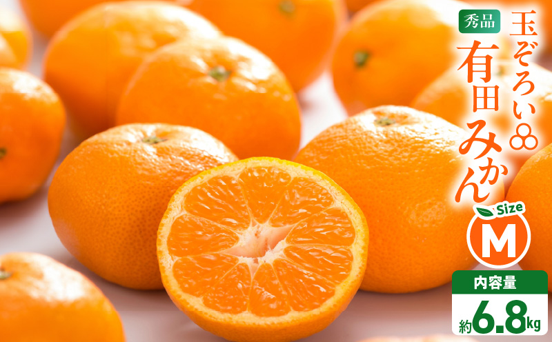MK1045_2月28日終了！ 最短出荷すぐ届く！みかん Ｍサイズ 秀品 箱込 7.5kg ( 内容量 6.8kg ) 有田みかん 和歌山県産 産地直送 贈答用 【みかんの会】