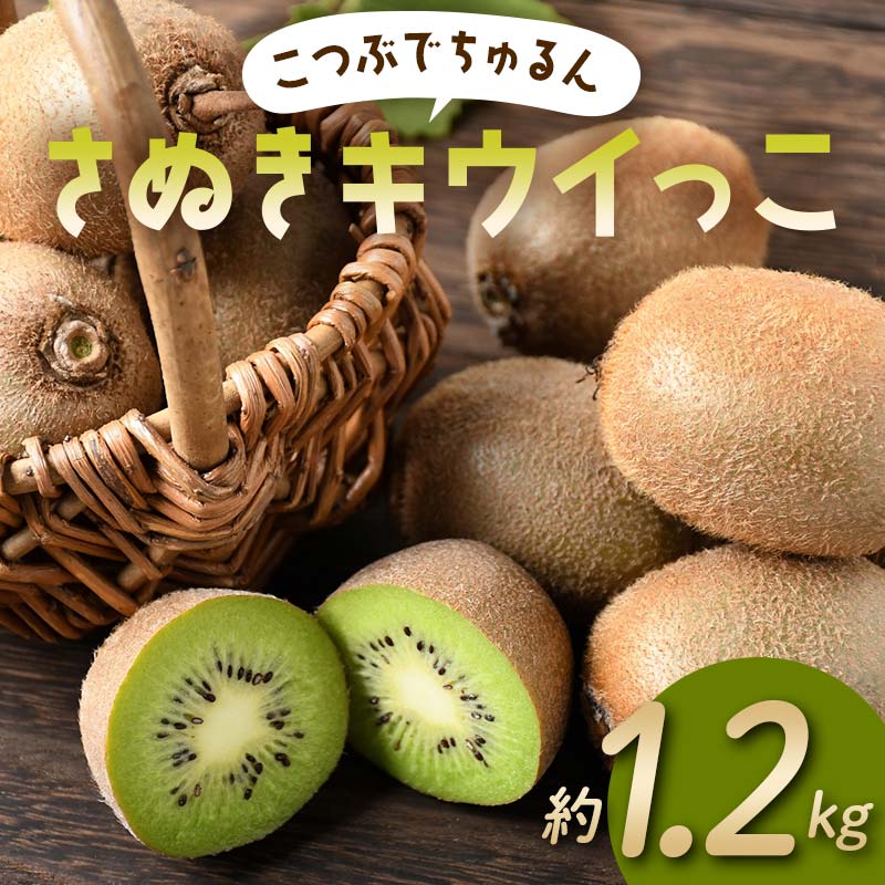【ふるさと納税】【先行予約】《2025年11月～2026年2月頃お届け》 こつぶでちゅるん さぬきキウイっこ 約1.2kg 一口サイズ 香川 四国 フルーツ 果物 くだもの キウイ キュウイ 果実 フルーツ 旬 香川県 香川県共通返礼品 F5J-1023