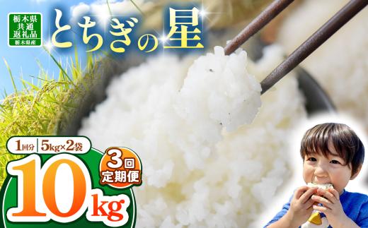 【栃木県共通返礼品】【令和7年度産】 訳あり 栃木県産とちぎの星 30kg |定期便 選べる  ふるさと 納税 とちぎの星 お米 精米 白米 玄米 大粒 共通返礼品 送料無料 那珂川町 栃木県