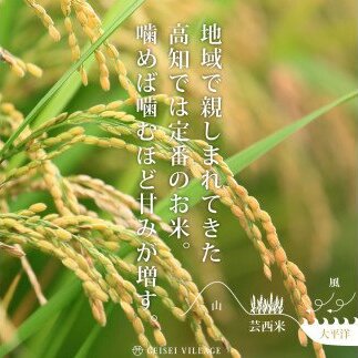 先行予約 新米 コシヒカリ 15kg (5kg×3袋) 芸西米 げいせいまい 令和7年産 15キロ 米 こめ コメ こしひかり 精米 白米 お米 おこめ ご飯 国産 通販 お取り寄せ 送料無料_イメー