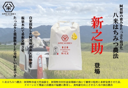 【令和7年産新米】【グッドライフアワード環境大臣賞受賞】 6ヶ月定期便 無洗米 新之助 5kg×6回 計30kg  農家直送 ほんのり甘い「はちみつ農法」 白米 精米 HACHIBEI 八米 1L21