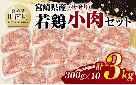 宮崎県産若鶏　小肉(せせり)3㎏（300g×10） 【 鶏肉 鶏 小肉 せせり 肉 宮崎県産 小分け パック 送料無料 】 [C11606]