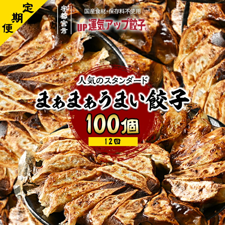 【ふるさと納税】【定期便12回】宇都宮餃子 運気アップ餃子 まあまあウマイ餃子100個　保存料不使用【 餃子 ぎょうざ 冷凍餃子 冷凍食品 惣菜 栃木県 宇都宮市 】※配送不可地域：離島
