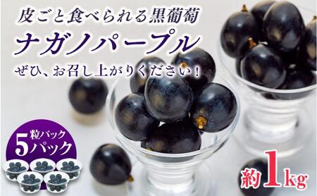 ぶどう ナガノパープル 粒パック 約1kg 皮ごと食べられる黒葡萄 葡萄 ぶどう ブドウ 長野 フルーツ 果物 信州産 長野県産 特産 産地直送 おすすめ デザート 