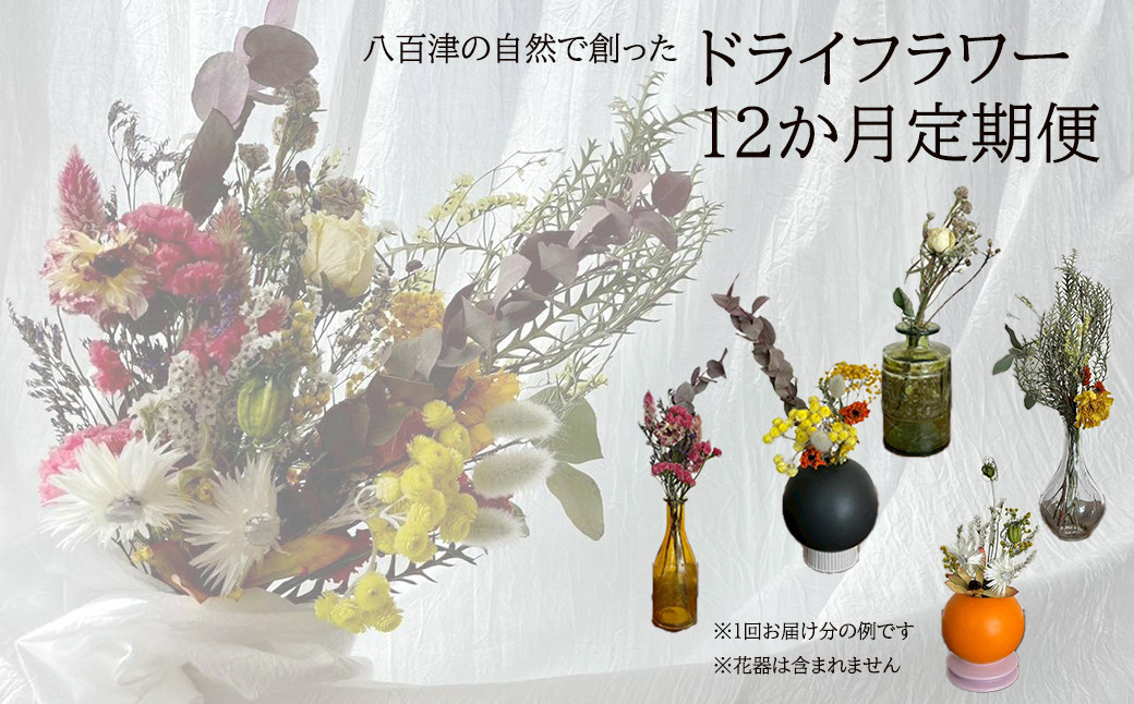 
            【12か月定期便】八百津の自然で創ったドライフラワー定期便 一年中  楽しめる 季節 毎月 1年 四季 八百津町 母の日 父の日  敬老の日 クリスマス 誕生日 プレゼント ドライフラワー ナチュラル  (510)
          