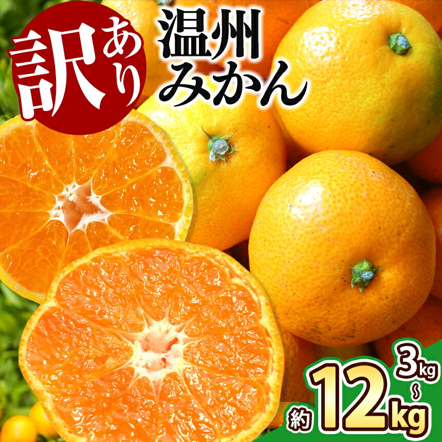 【ふるさと納税】 訳あり みかん 3kg 5kg 9kg 12kg 温州みかん 果物 フルーツ 大容量 家庭用 キズあり 大小混合 産地直送 生産者直送 旬 九州 熊本県 玉名市 送料無料