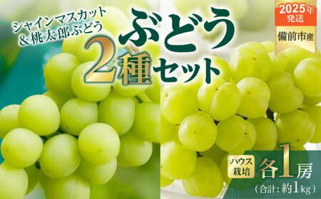 【2025年発送】びぜん葡萄「シャインマスカット」「桃太郎ぶどう」（ハウス栽培）各１房入 【 岡山県備前市産 シャインマスカット 桃太郎ぶどう ハウス栽培 各１房入 樹上完熟 】