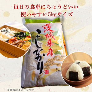 【9カ月定期便】コシヒカリ 5kg（茨城県共通返礼品・城里町産） / 米 こめ コメ お米 おこめ コシヒカリ こしひかり 白米 精米 ごはん ご飯 令和7年産 5kg 定期便 茨城県 城里町 利根町
