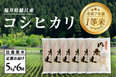 【令和7年産】【６ヶ月連続お届け】令和7年産 内農米コシヒカリ定期便 5kg × 6回 計30kg