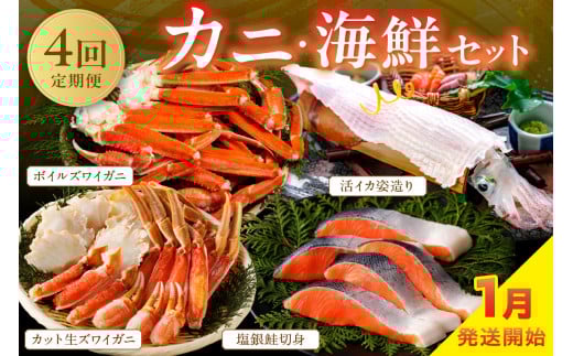 海鮮定期便【4回／1月発送～】店主厳選！おすすめカニ・海鮮セット（カット生ズワイガニ4肩・ボイルズワイガニ4肩・塩銀鮭切身約1kg・活イカ姿造り　中サイズ 1杯200g前後）海鮮 定期便 カニ 魚介定期便 海鮮 頒布会　YK00254