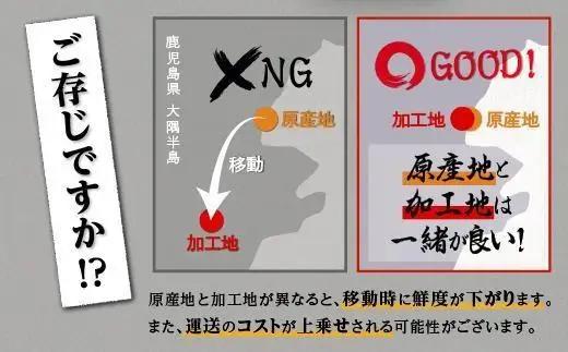 鹿児島県産 長蒲焼 特大3尾（200g以上×3尾）｜うなぎ うなぎ