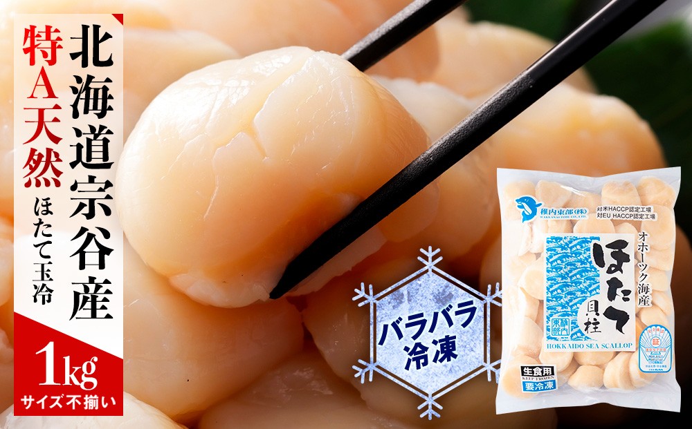 
            宗谷産 天然生食用 ほたて貝柱 1kg (特A無選別) 刺身 海鮮
          