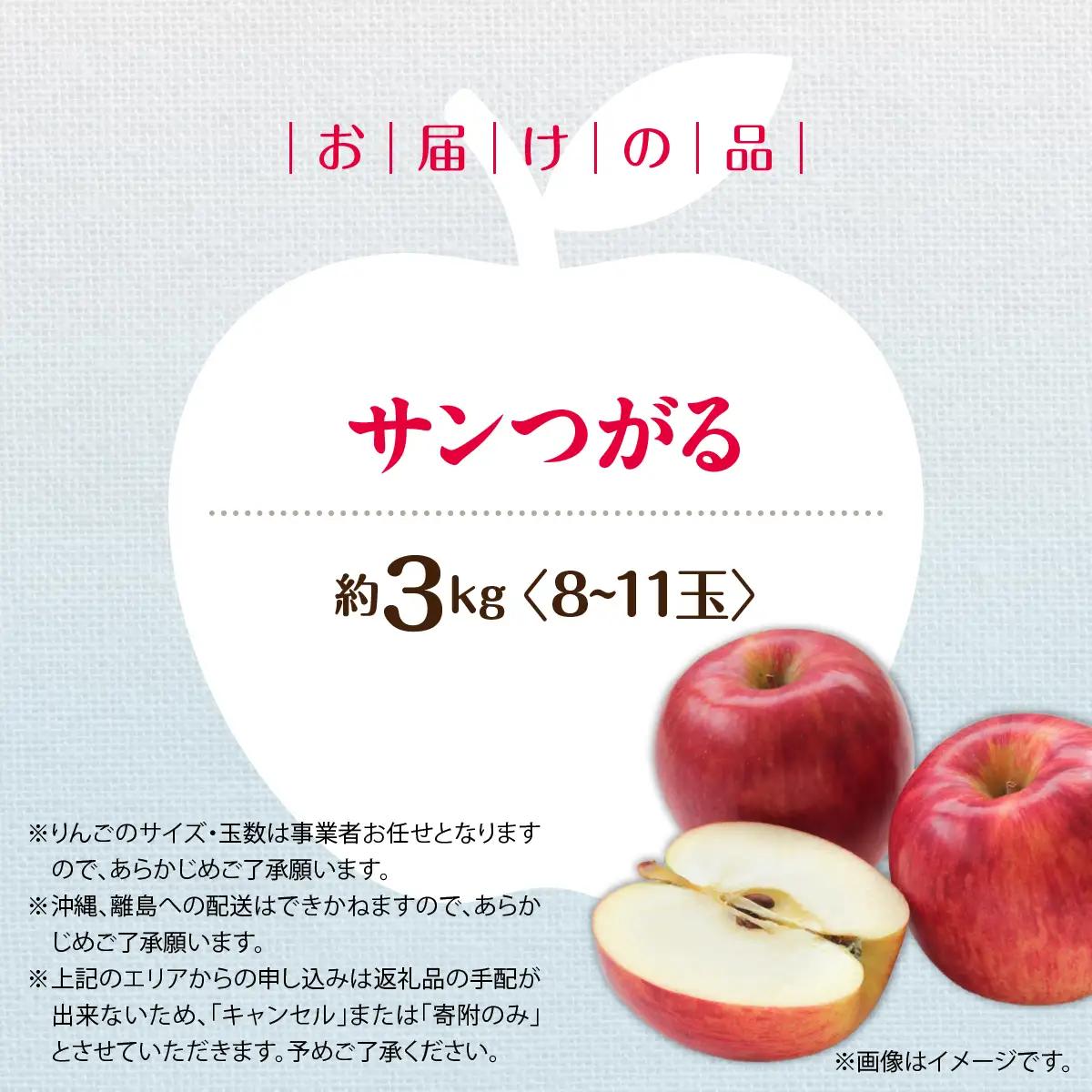 【先行予約】北海道壮瞥町産りんご「サンつがる」約3kg(8～11玉)＜2026年9月下旬よりお届け＞ SBTF001