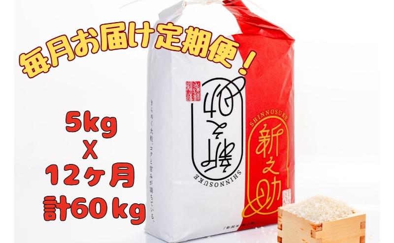 【通年受付】魚沼産新之助　精米5kg　全12回 十日町市 十日町 米