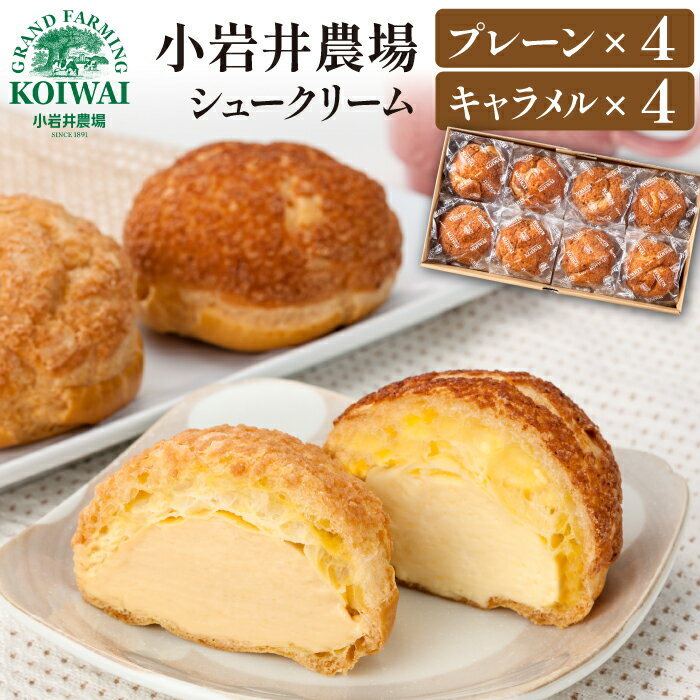 【ふるさと納税】 シュークリーム 小岩井 農場 8個 小分け 個包装 冷凍 プレーン キャラメル おやつ デザート スイーツ 洋菓子 お菓子 焼菓子 お土産 お祝い 贈答用 お取り寄せ ギフト おすすめ クリスマス 誕生日 父の日 母の日 結婚祝い バレンタイン 人気 冷凍 送料無料
