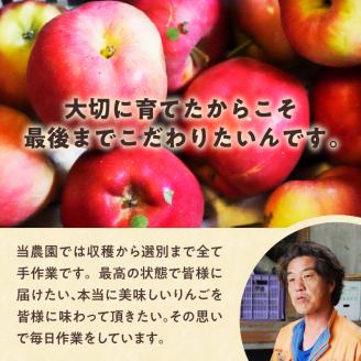【令和7年出荷受付】紅将軍りんご　約4kg|先行受付 数量限定 りんご 林檎 フルーツ 果物 北海道