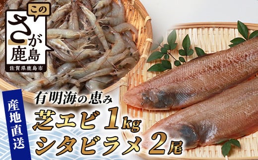 
冷凍芝エビ（真エビ）1kg（500g×2パック）＆有明海産 シタビラメ約150g×2尾【有明海の恵】簡単調理 セット B-569
