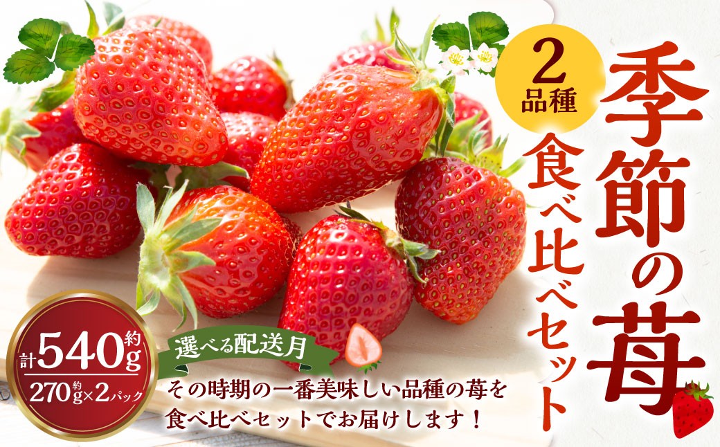 
            よかもんいちご 2品種食べ比べセット【2025年12月～2026年4月 出荷予定】 いちご イチゴ 苺 2種 フルーツ 果物 贈答 贈り物 ギフト 九州 福岡 うきは市
          