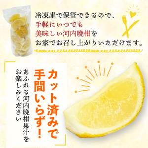 冷凍 河内晩柑 皮付き 500g×2袋  小分け 愛南ゴールド 河内晩柑 和製グレープフルーツ 河内晩柑 柑橘 冷凍河内晩柑 冷凍柑橘 冷凍みかん アイス みかん職人武田屋 愛媛県 愛南町