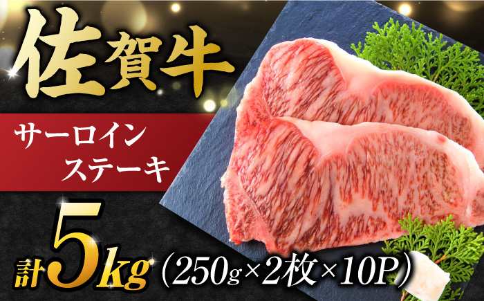 
【不揃い訳あり】佐賀牛 サーロインステーキ 5kg （ 250g 2枚入り×10パック） 吉野ヶ里町 [FDB012]
