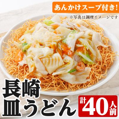 ふるさと納税 いちき串木野市 【3か月定期便】長崎 皿うどん 120人前 「2人前(麺100g)×20袋」あんかけ スープ付き