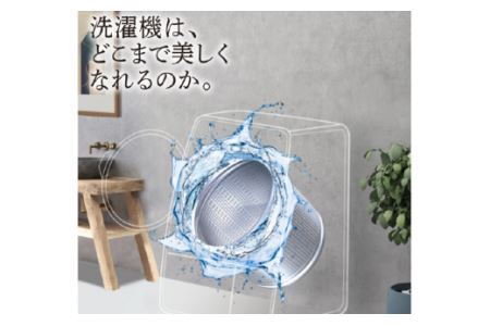 洗濯槽クリーナー WASHMANIA 200g 1回分×3個