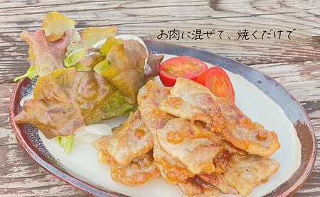 あのらぼ 旬野菜たっぷり 季節の麹中 5種 セット 詰め合わせ 発酵調味料 麹中 乗せるだけ 混ぜるだけ 放り込むだけ 簡単調理 調味料 調味料セット 調味料詰め合わせ 野菜 旬野菜 季節の野菜 米麹